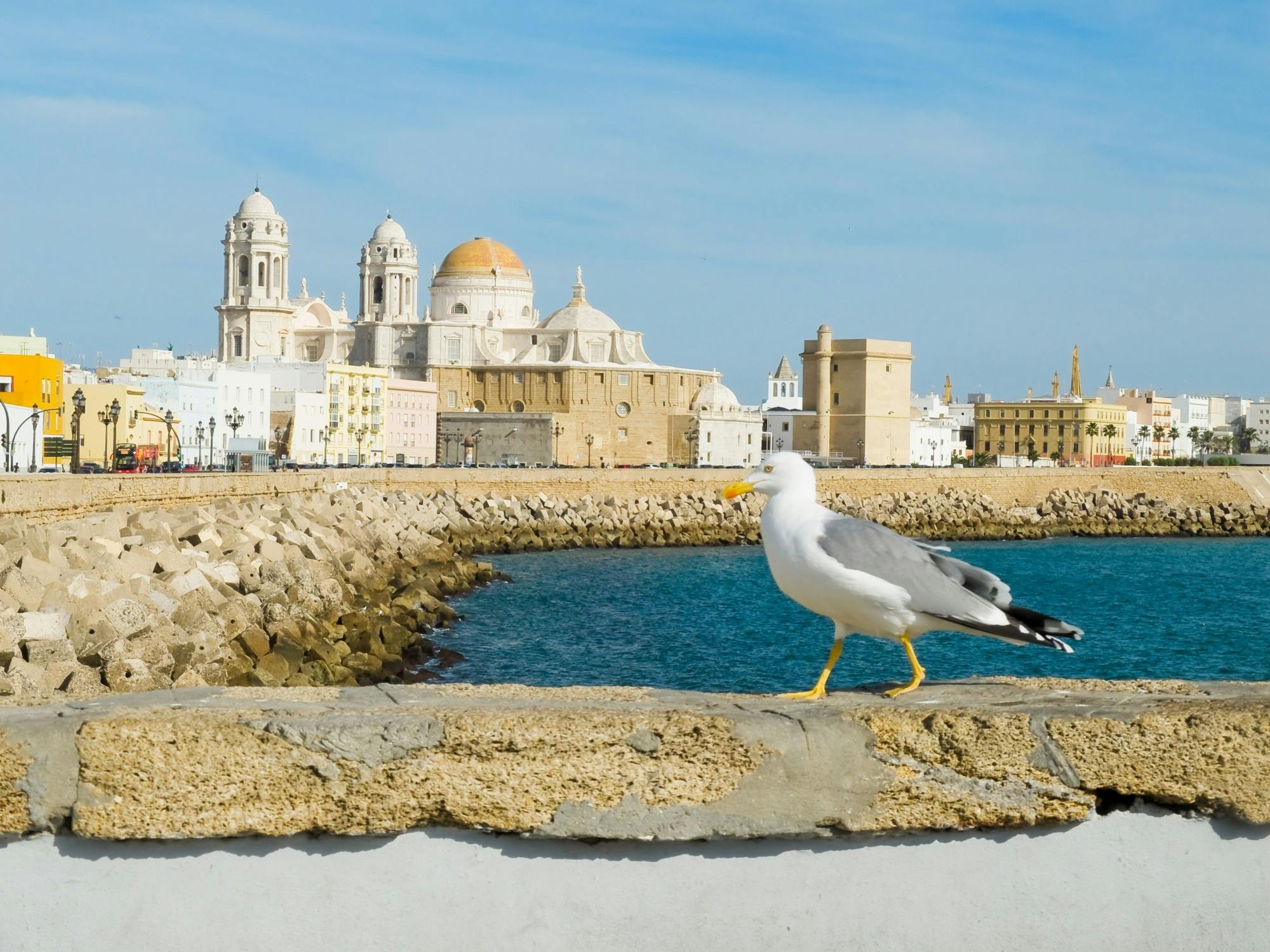 Cadiz Guided Tour from Rota