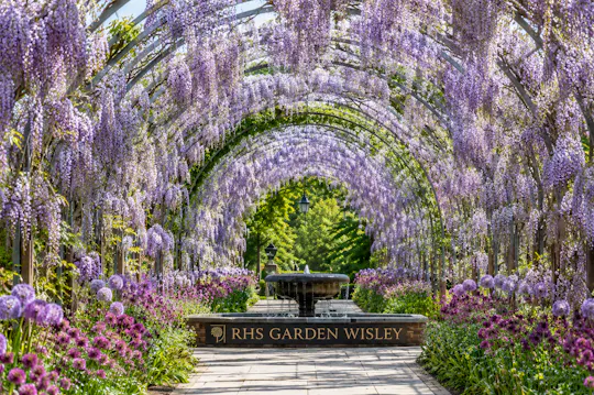 Bilhete de entrada para o RHS Garden Wisley com audioguia de Londres e eSIM