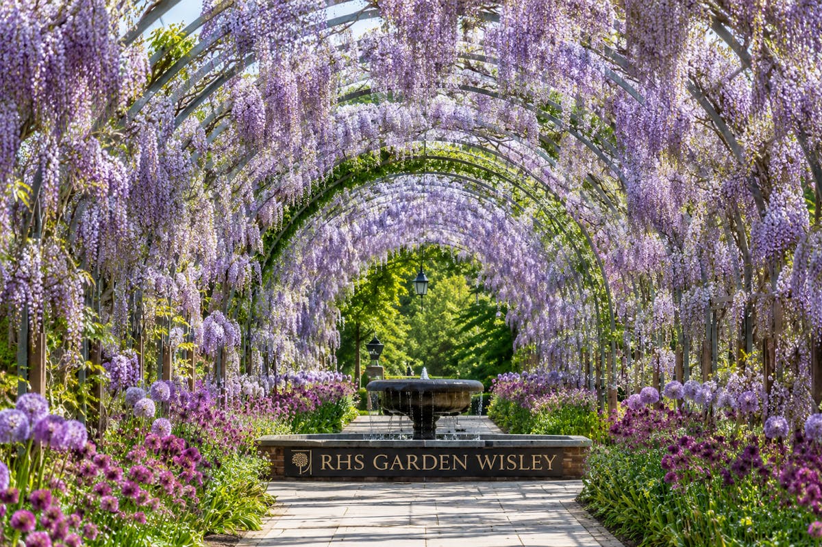 Toegangskaart voor RHS Garden Wisley met audiogids voor Londen en eSIM