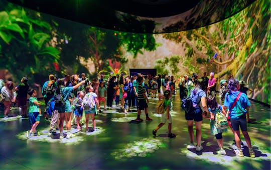 Bilhete de entrada para o Museu Americano de História Natural, em Nova Iorque