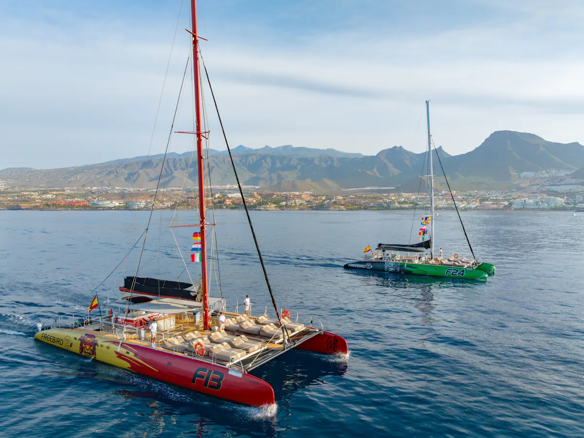 Tenerife solar eclipse sunset cruise with transfer