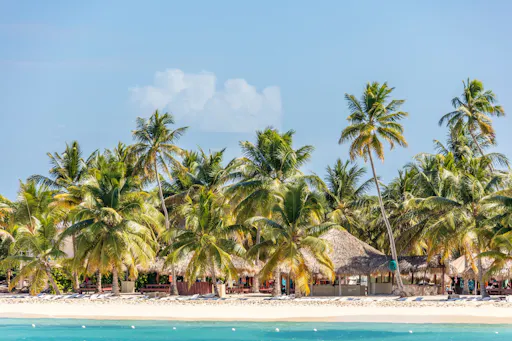 Saona Island highlights boat tour with buffet lunch