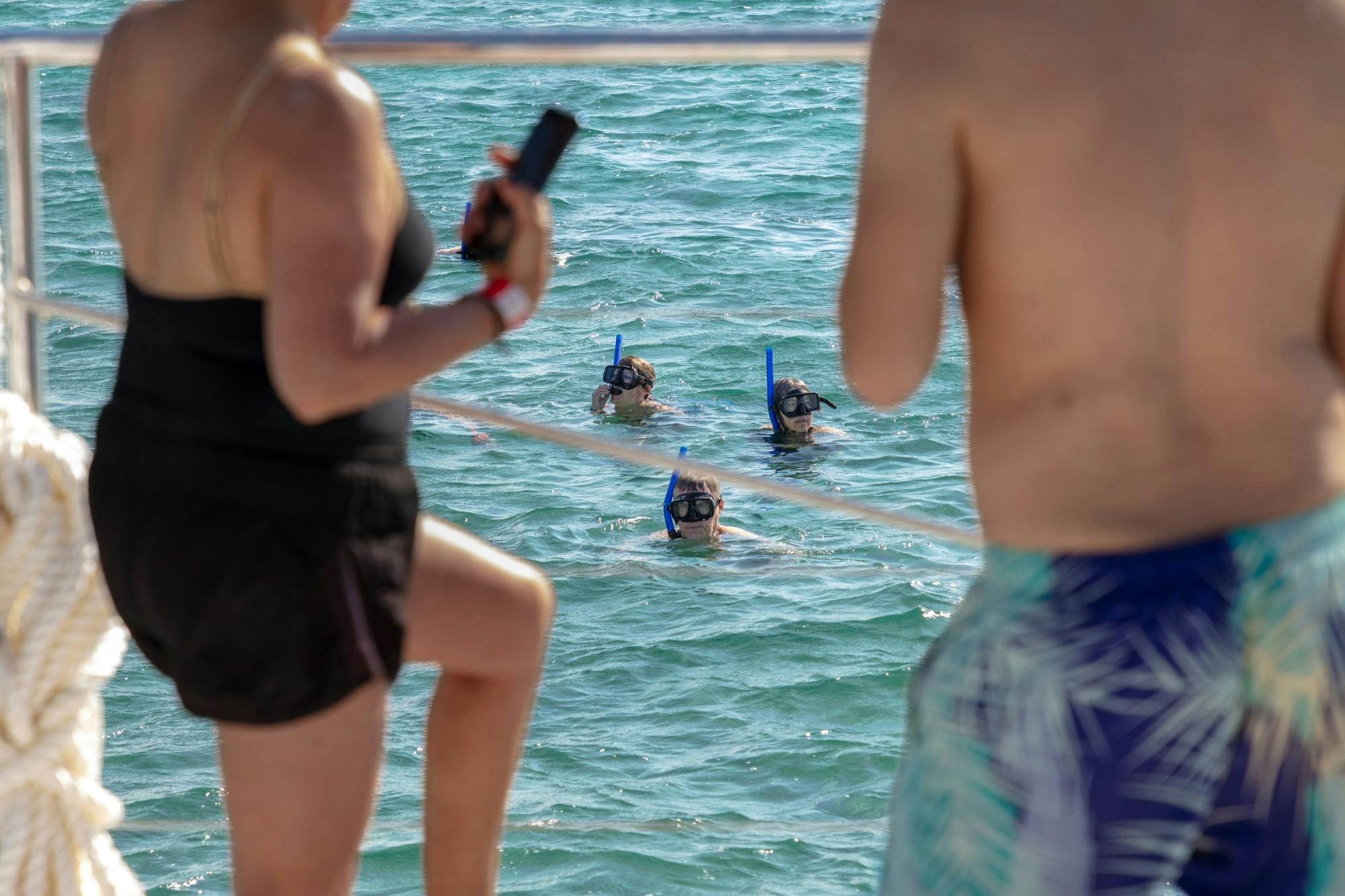 Full-day adults-only Riviera Maya boat trip with open bar and lunch