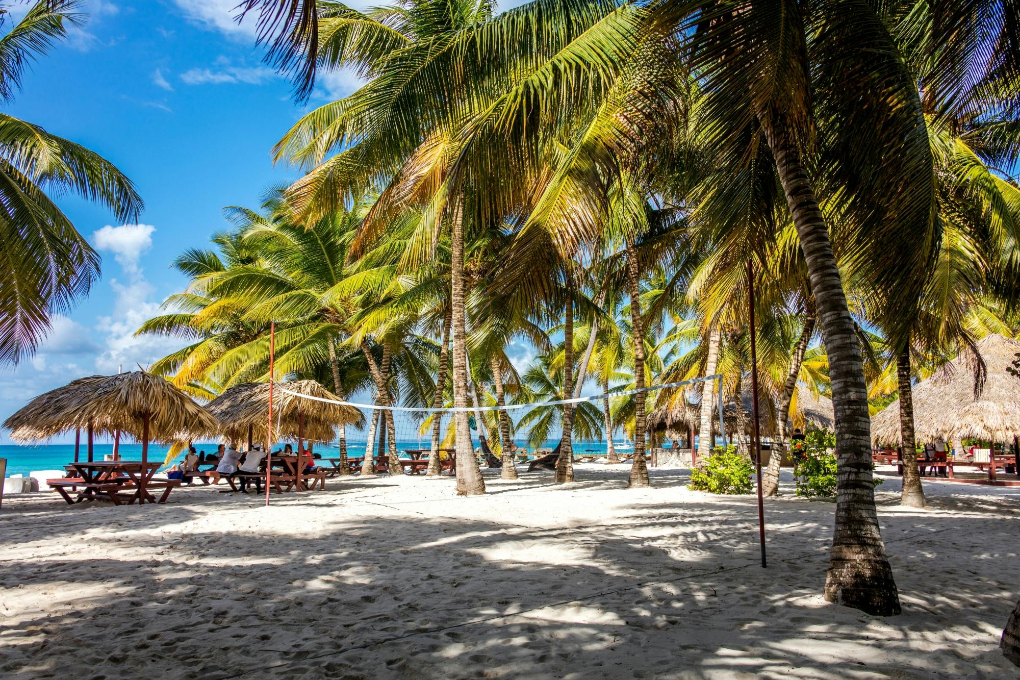 Saona Island highlights boat tour with buffet lunch