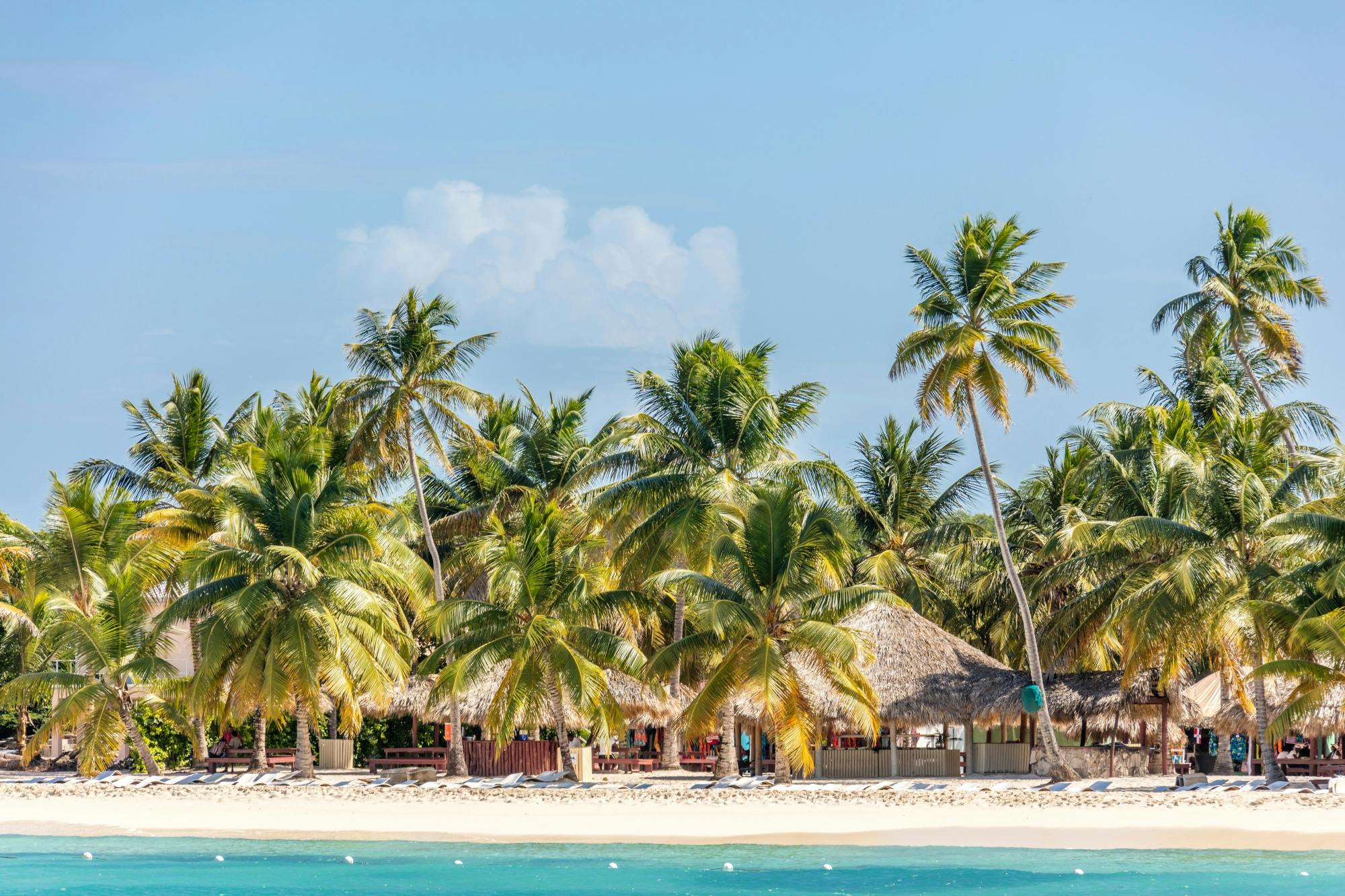 Saona Island highlights boat tour with buffet lunch