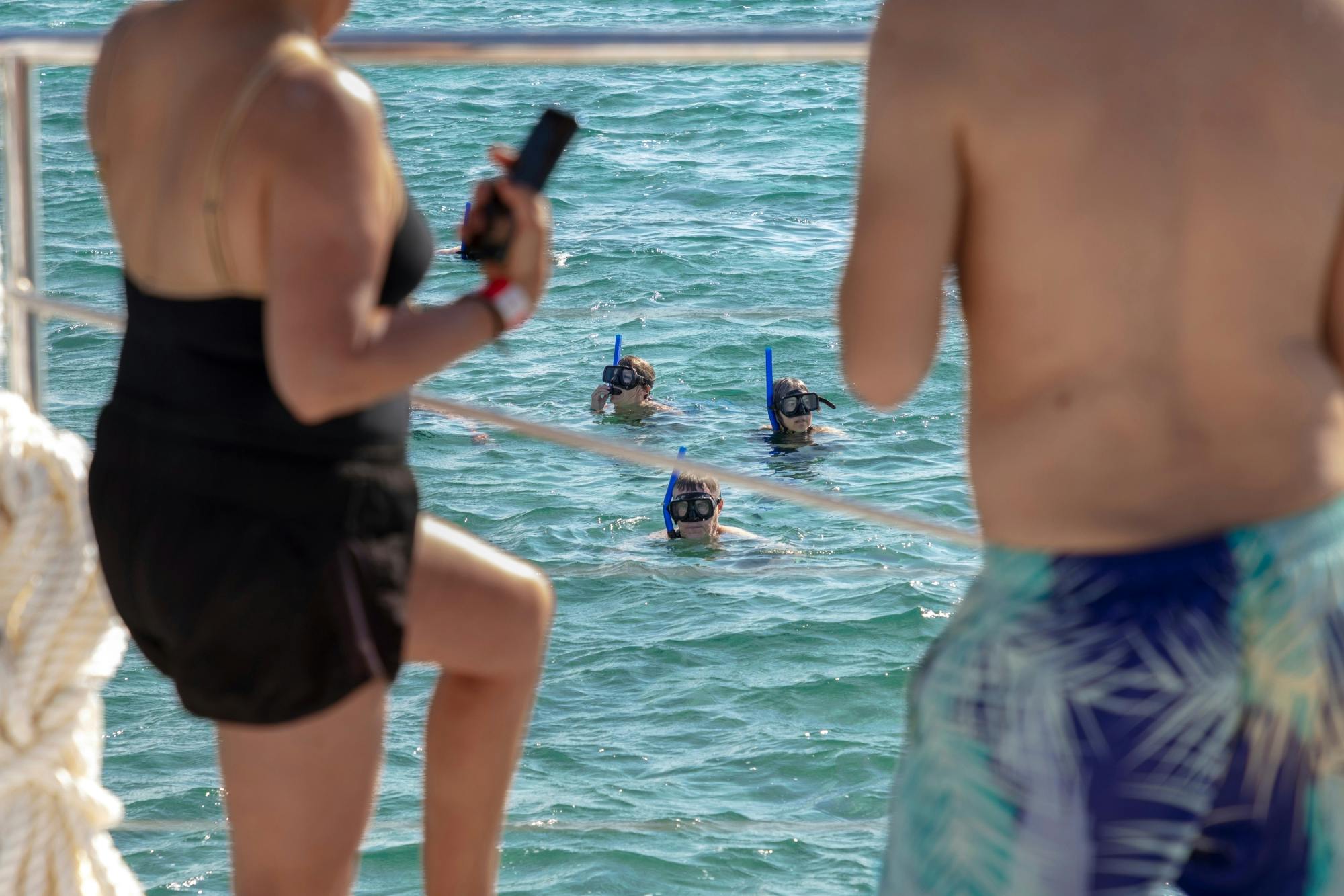 Full-day adults-only Riviera Maya boat trip with open bar and lunch