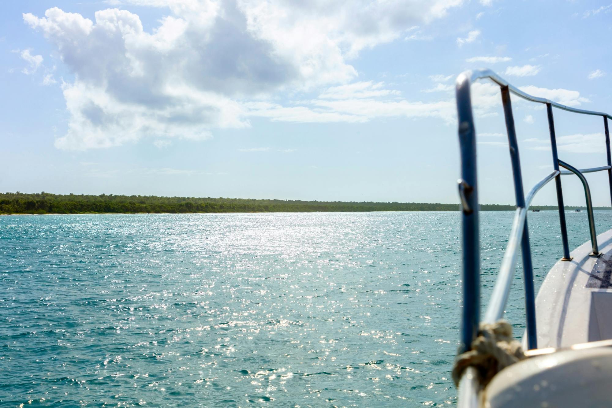 Saona Island highlights boat tour with buffet lunch