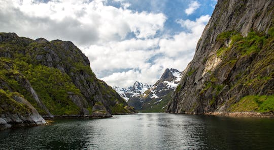 Three-hour Trollfjord and Raftsundet cruise from Svolvær