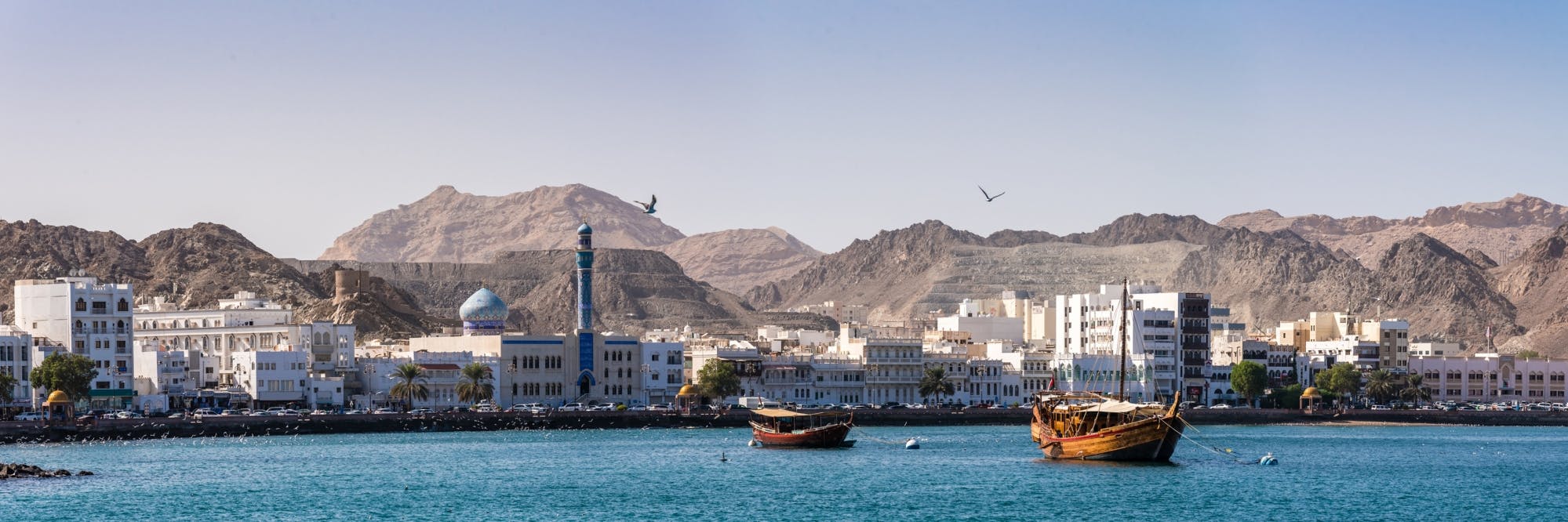 Muscat 2 nights with dolphin watching