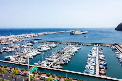 VIP La Gomera luxury minivan tour