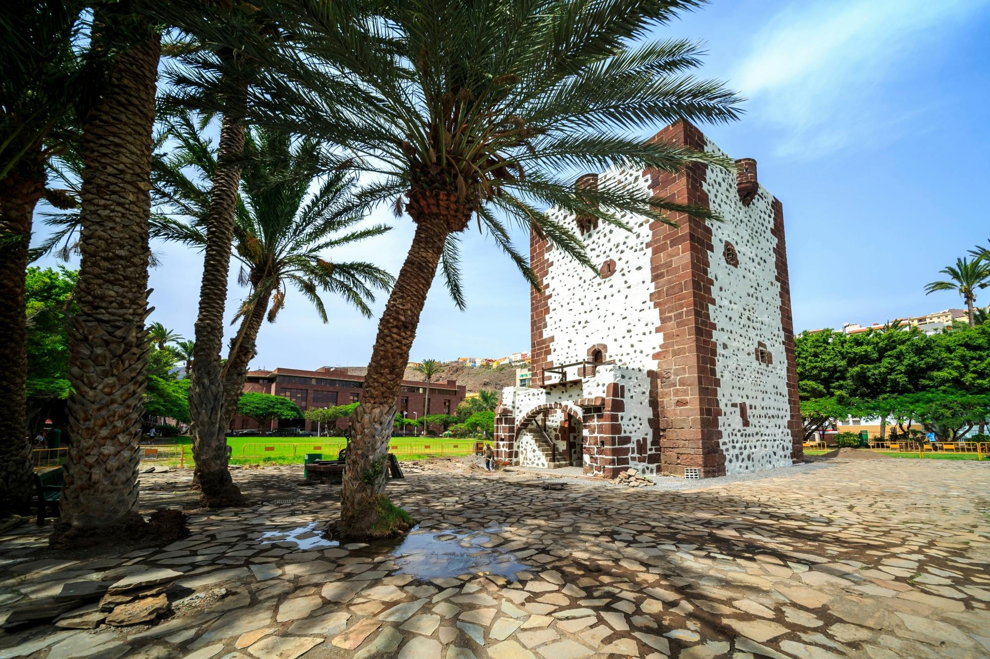 VIP La Gomera luxury minivan tour