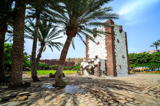 VIP La Gomera luxury minivan tour
