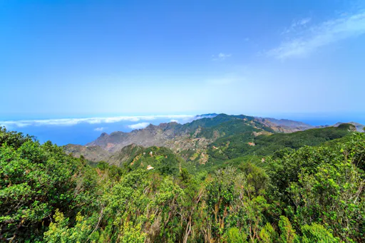 Full-day tour of Tenerife villages with Anaga Country Park and lunch