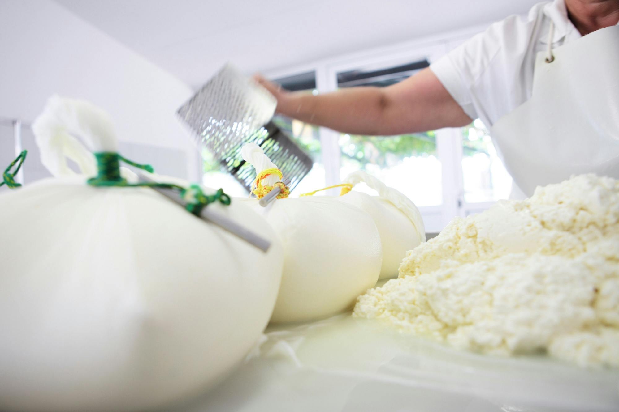 Tour of rural Menorca with Mahon cheese-tasting and lunch