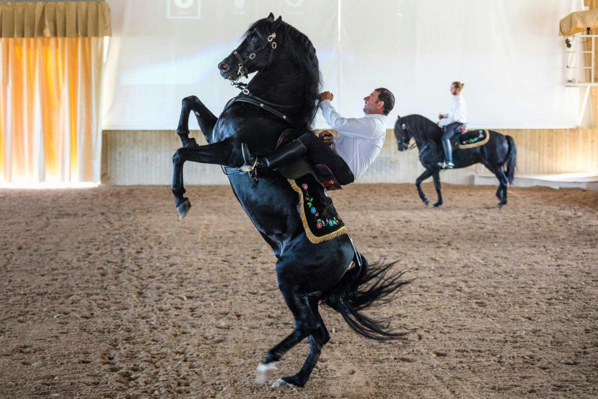 Tour of rural Menorca with dressage show