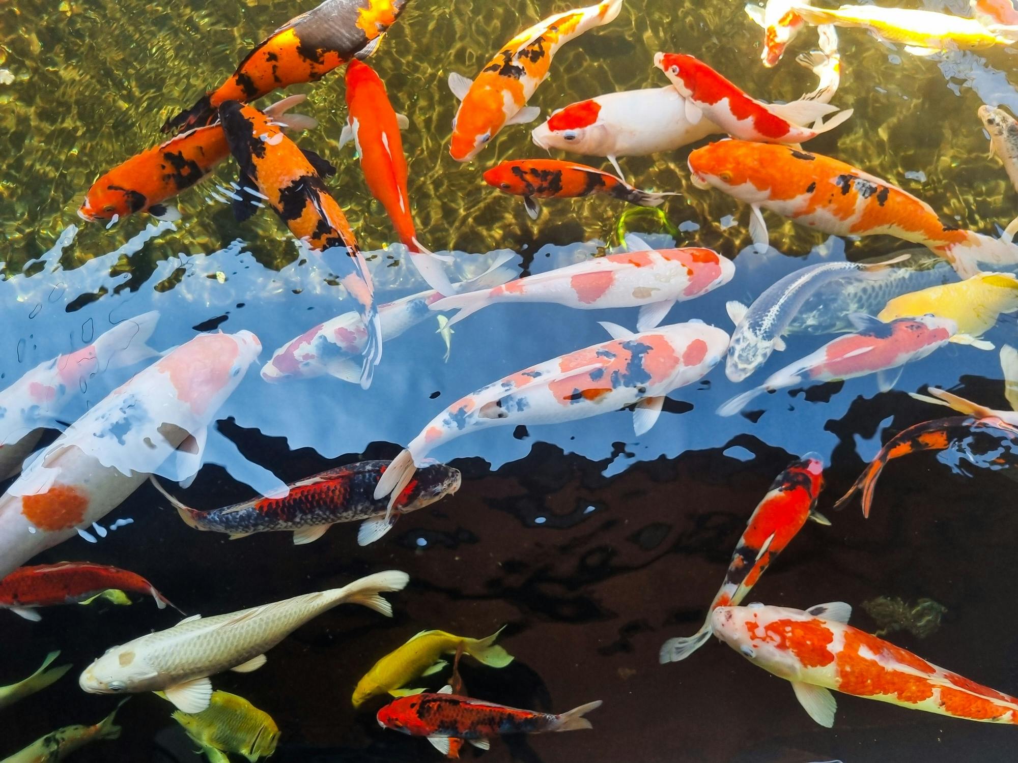 Antalya's Butterfly World with optional transfers