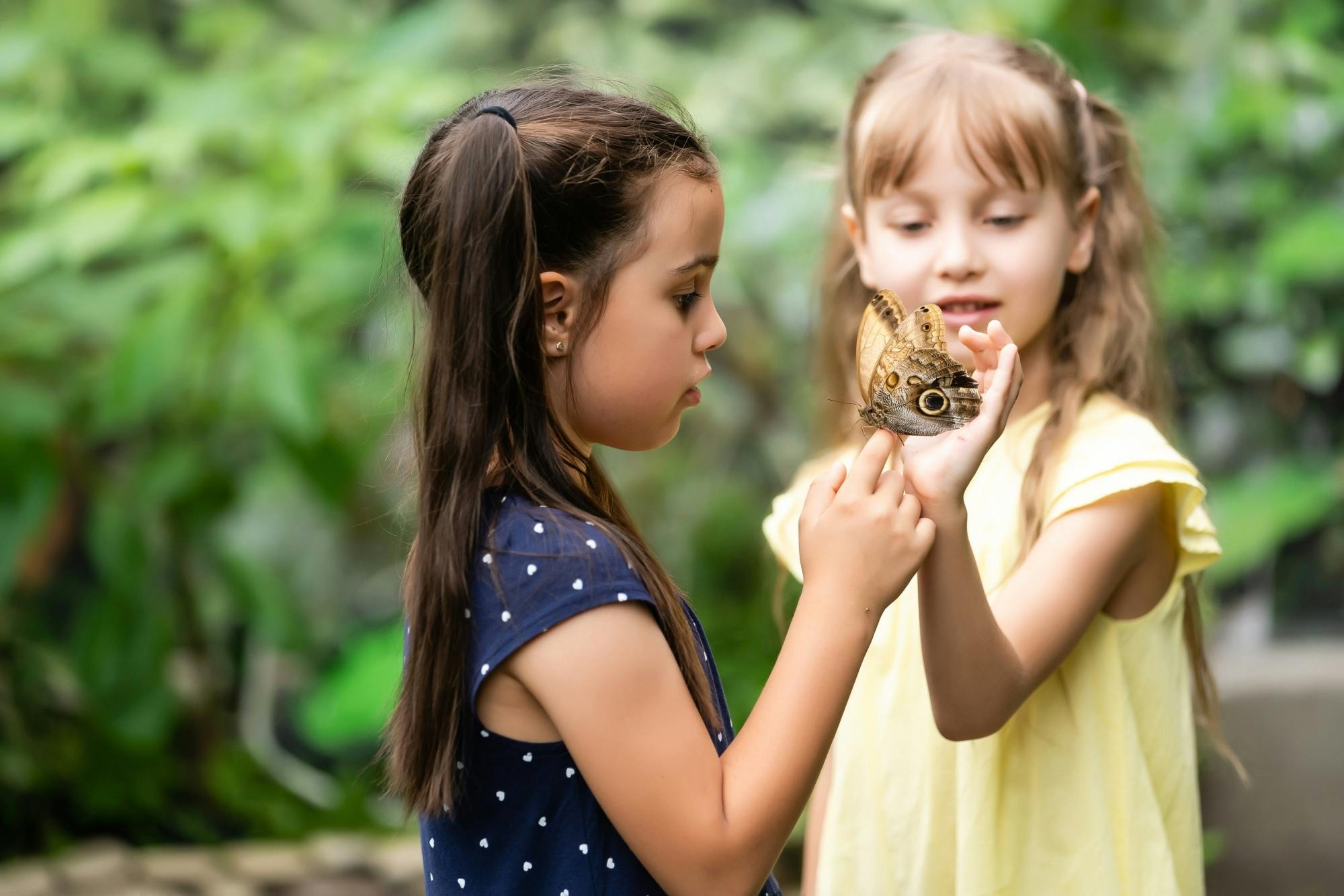 Antalya's Butterfly World with optional transfers