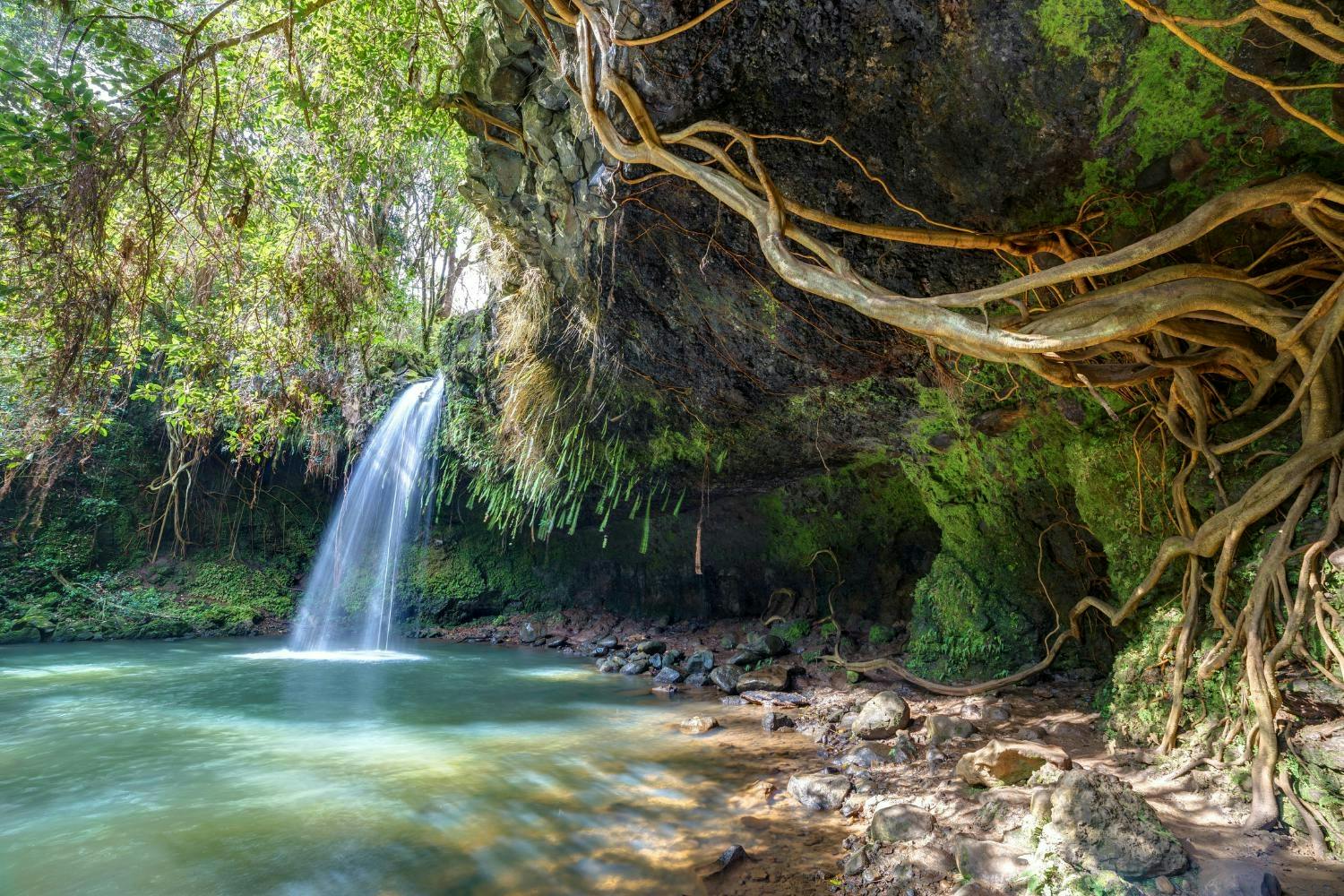Passeio de carro com áudio-guia pela Estrada para Hana, em Maui