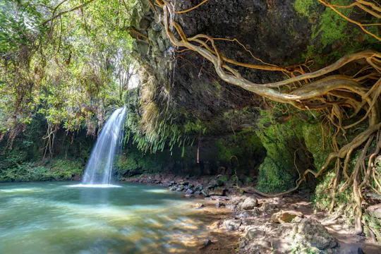 Audio-guided driving tour on Maui's Road to Hana