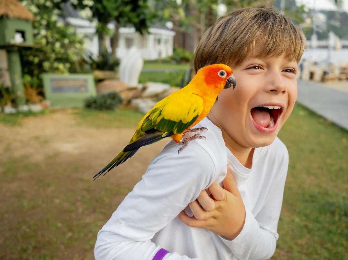 Antalya's Butterfly World with optional transfers
