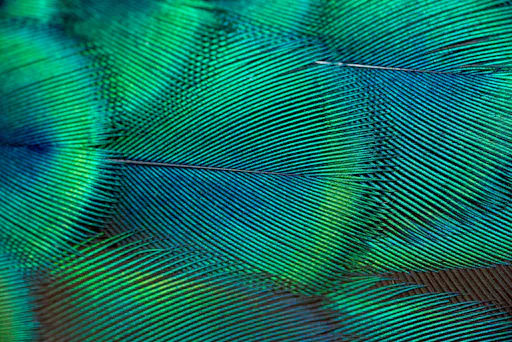 Antalya's Butterfly World with optional transfers