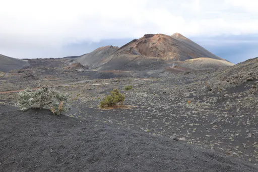La Palma Island Tour
