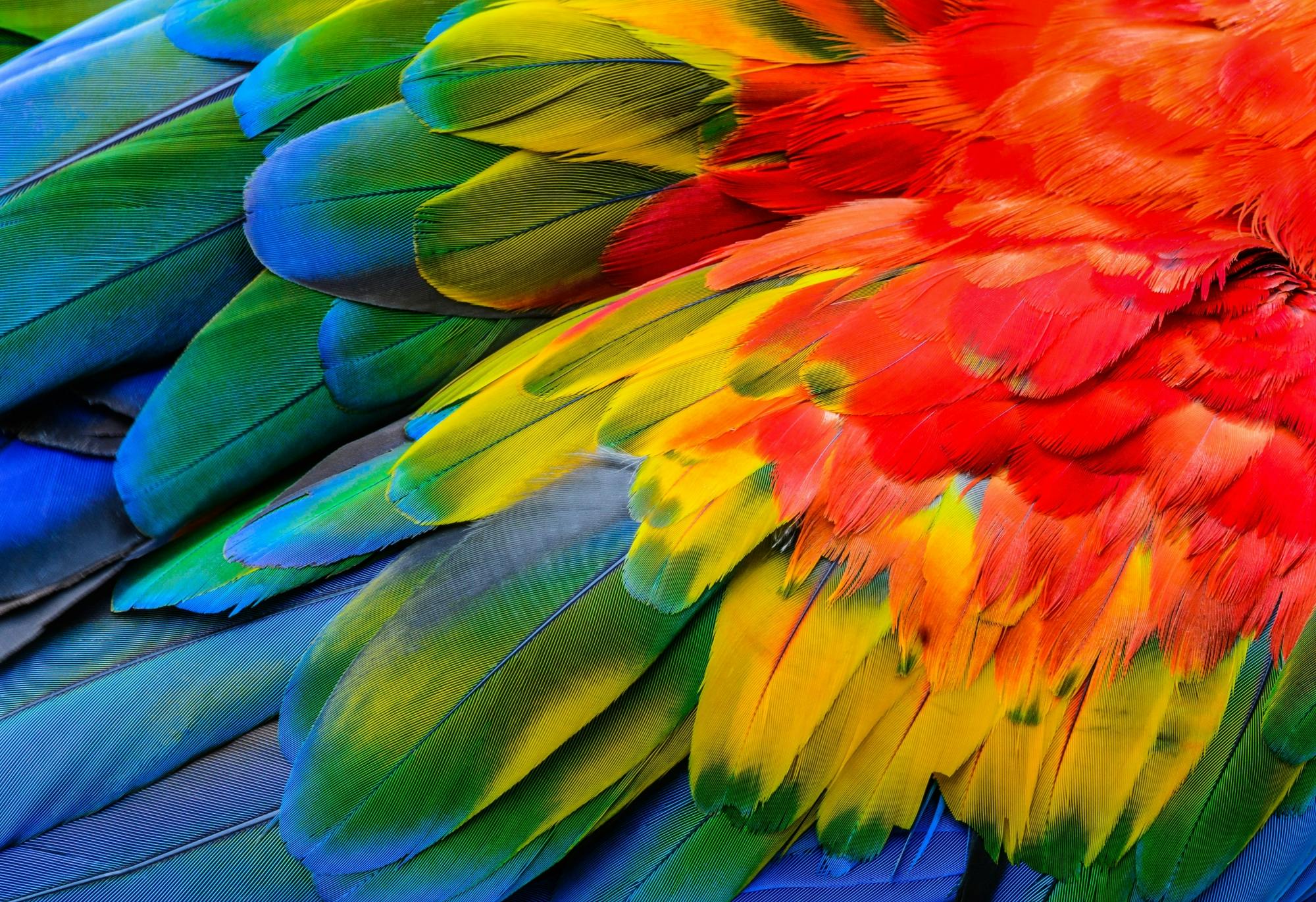 Antalya's Butterfly World with optional transfers