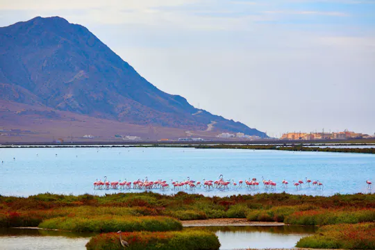 Zwiedzanie Cabo de Gata