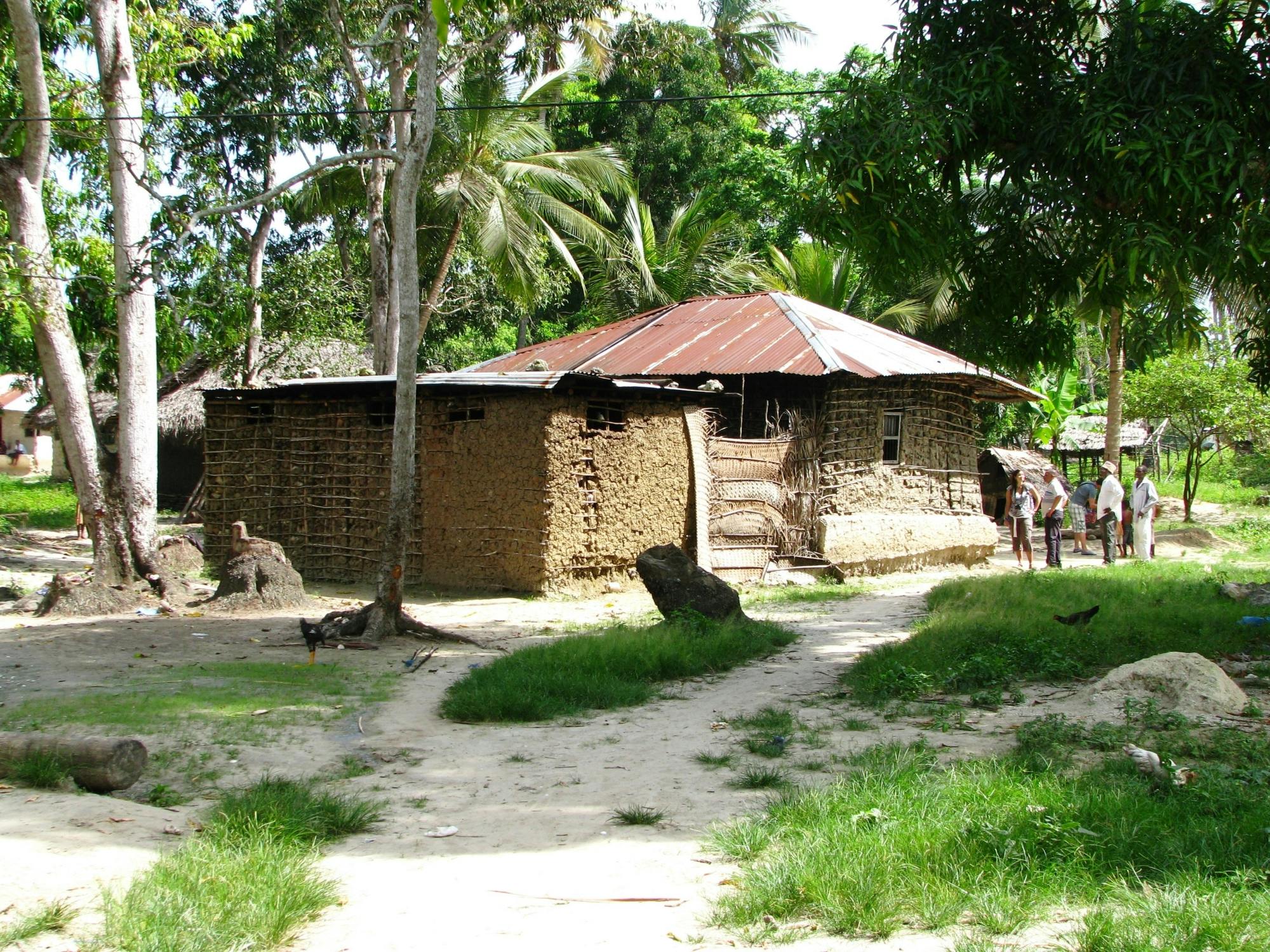 Zanzibar Jozani Forest, cave and village adventure private tour