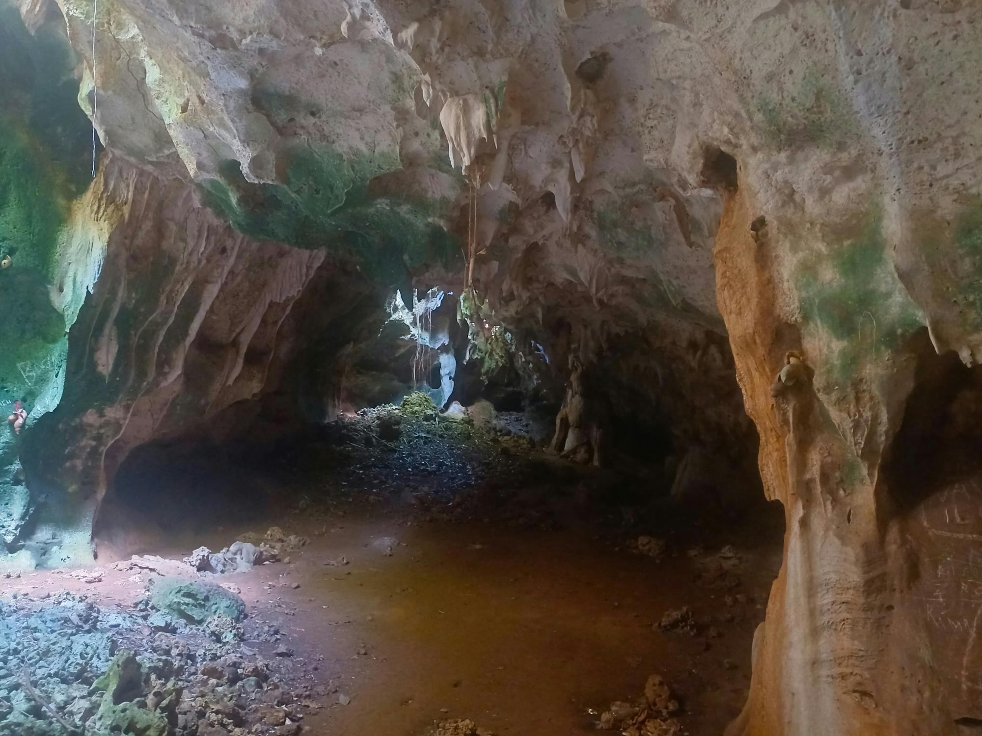 Zanzibar Jozani Forest, cave and village adventure private tour