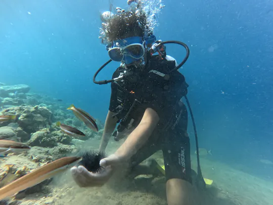 Séance de plongée sous-marine au départ du Delphi Beach Hotel