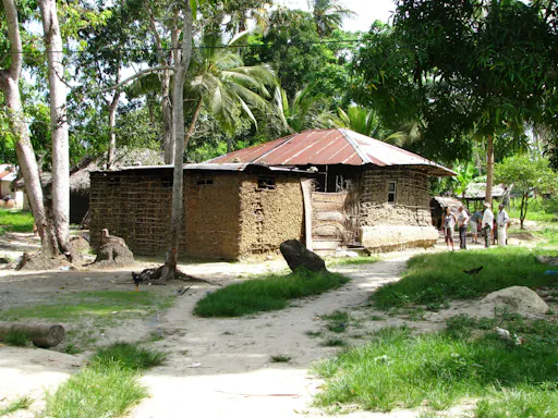 Zanzibar Jozani Forest, cave and village adventure private tour