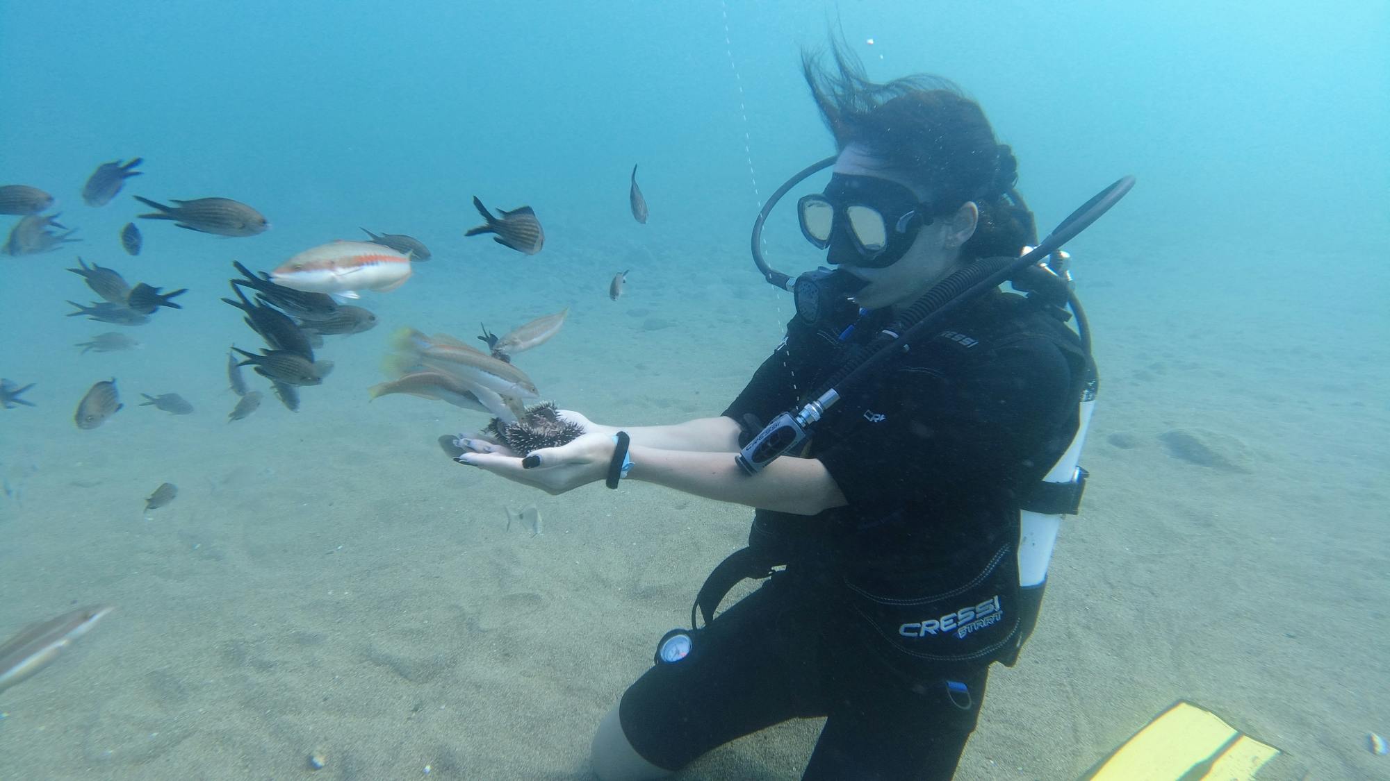 Scuba diving session from the Long Beach Hotel