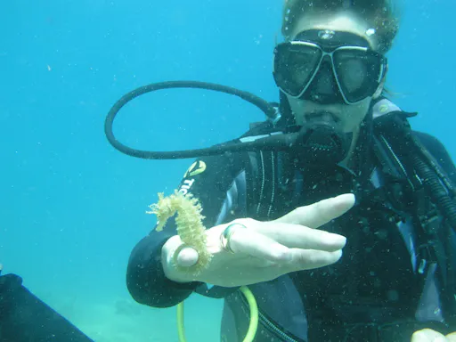 Scuba diving session from the Delphi Beach Hotel