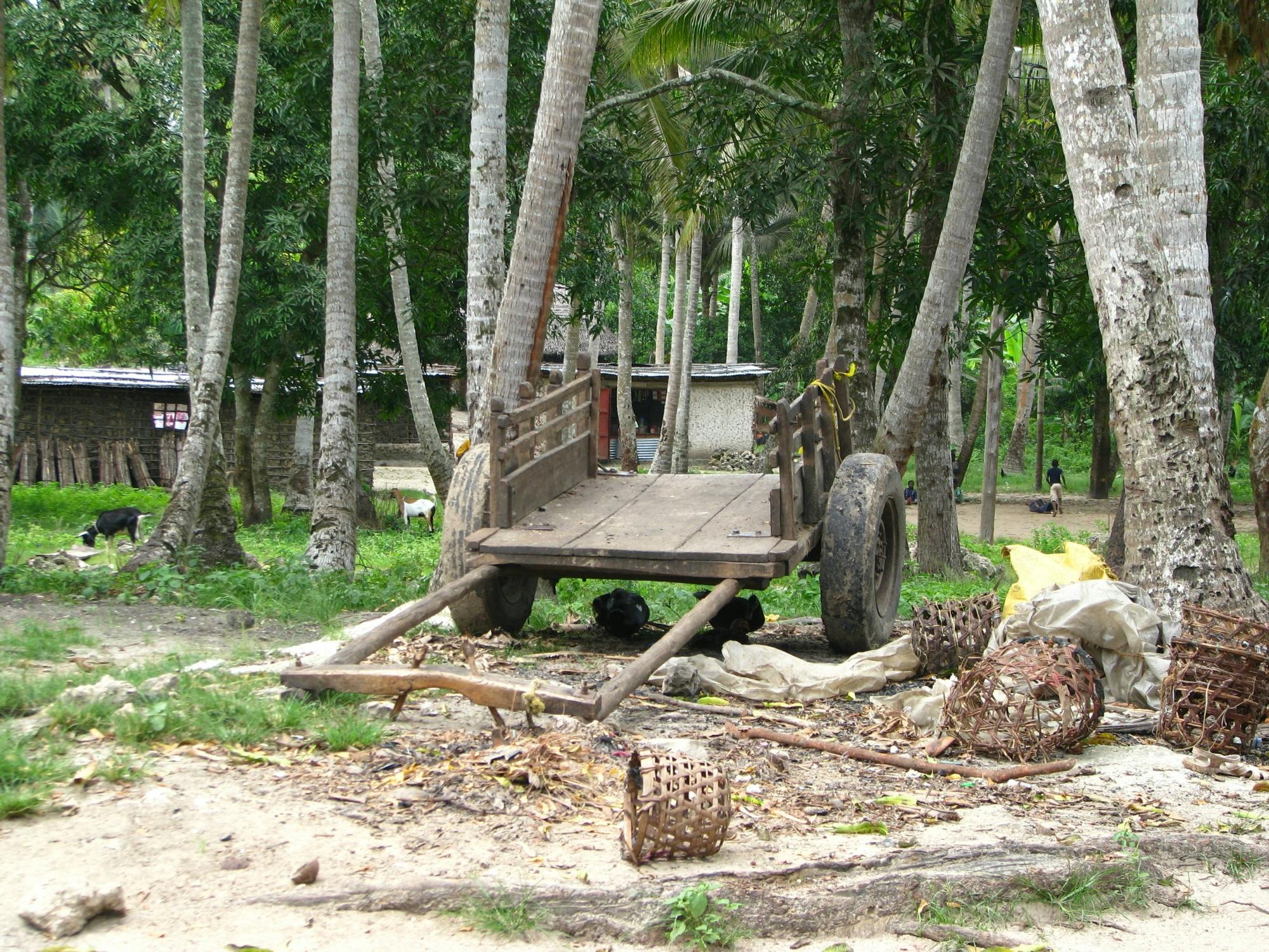 Zanzibar spice farm, cave and village adventure private tour