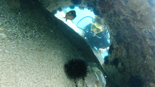 Scuba diving session from the Long Beach Hotel