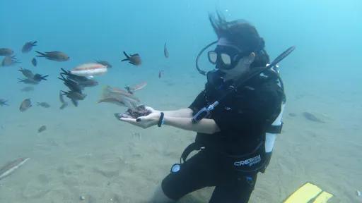 Scuba diving session from the Long Beach Hotel