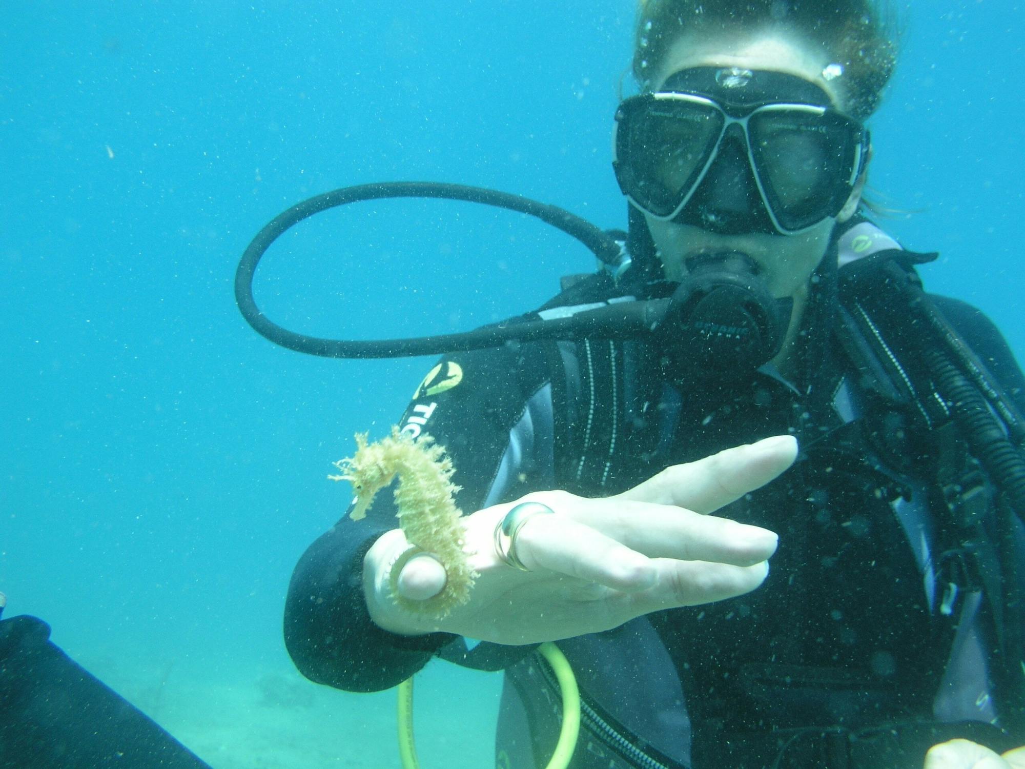 Scuba diving session from the Long Beach Hotel