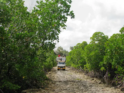 Zanzibar Uzi Island, cave and village adventure private tour