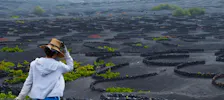 La Geria