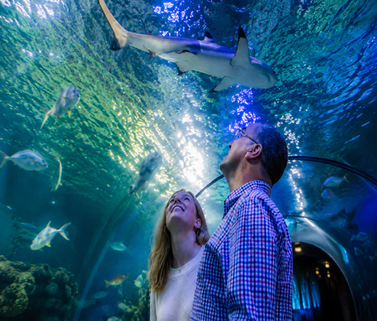 SEA LIFE Loch Lomond ticket with 1GB eSIM
