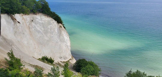 Forest Tower and Møns Klint guided tour from Copenhagen