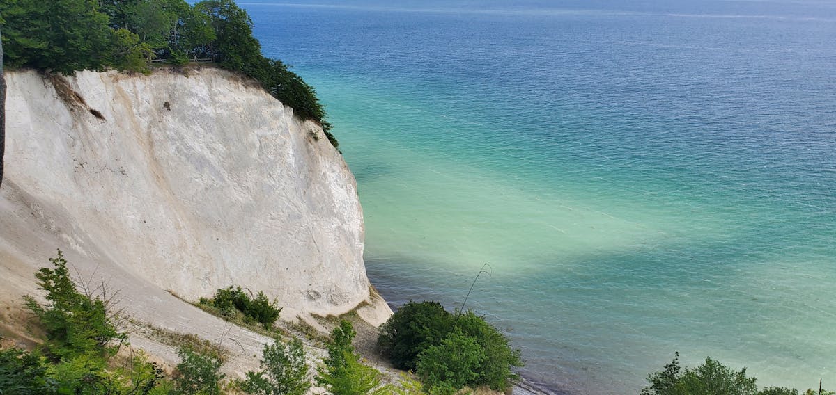 Rondleiding naar de Forest Tower en Møns Klint vanaf Kopenhagen