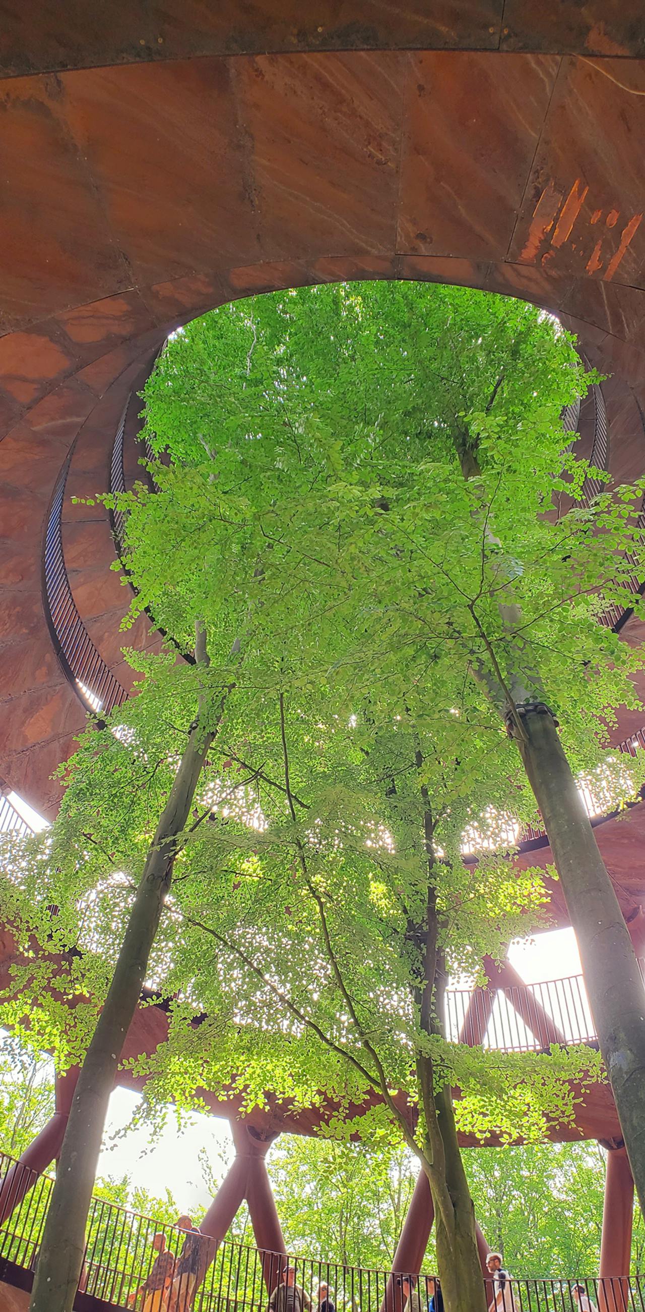 202606096a27f8590d3ea.png