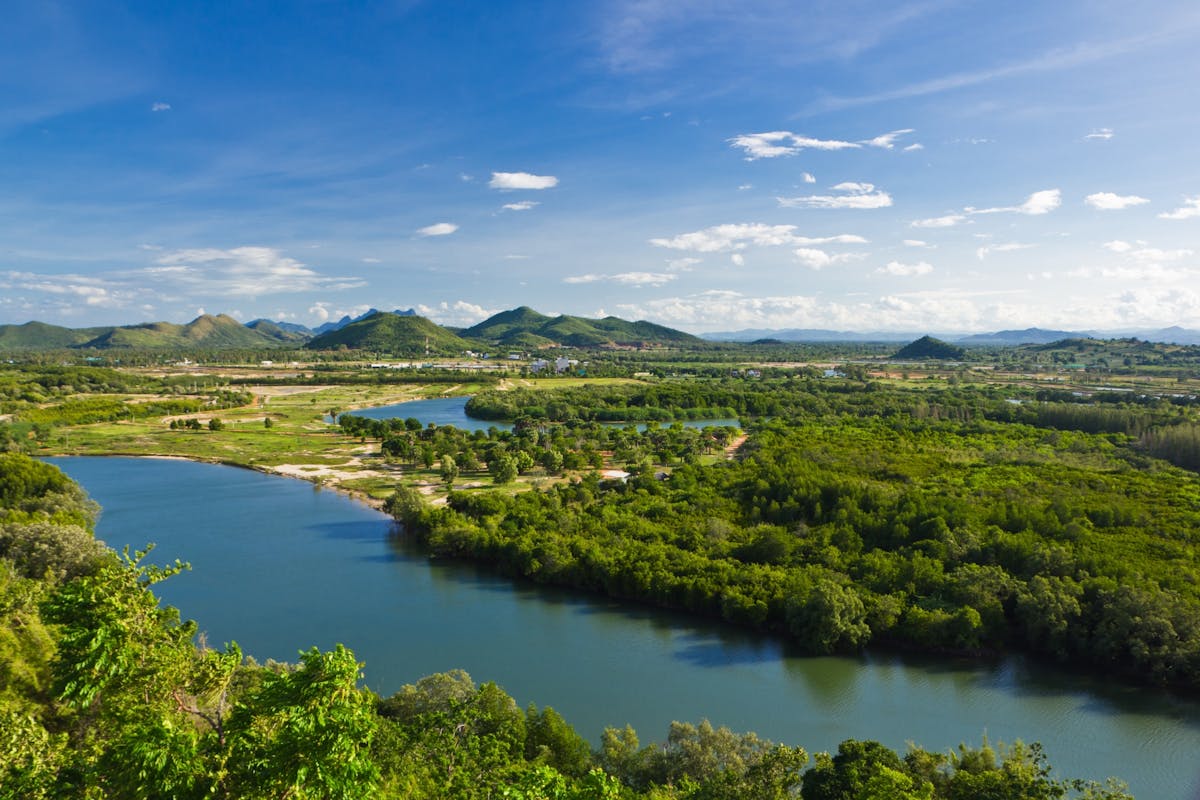 Privéboottocht op de Pranburi-rivier met wandeling door het mangrovebos, inclusief ophalen bij het hotel