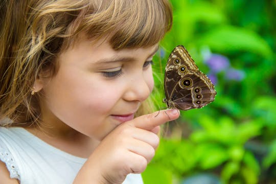 Antalya Butterfly World and Aquarium day out with transfers