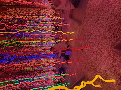 202606096a287c674dabd.jpeg