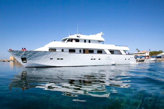 Ocean Flyer VIP Bootstour -  nur für Erwachsene