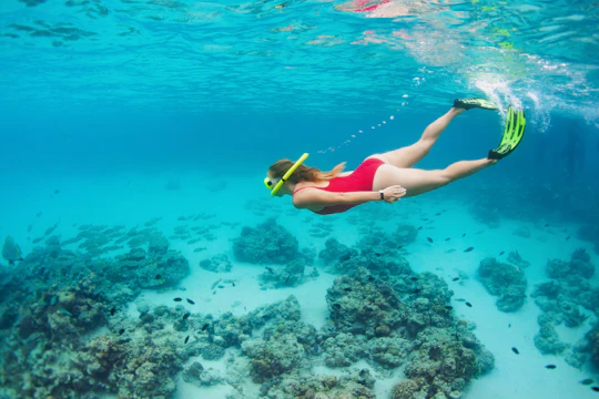 Full Day Sea Star Cruise to the Blue Lagoon