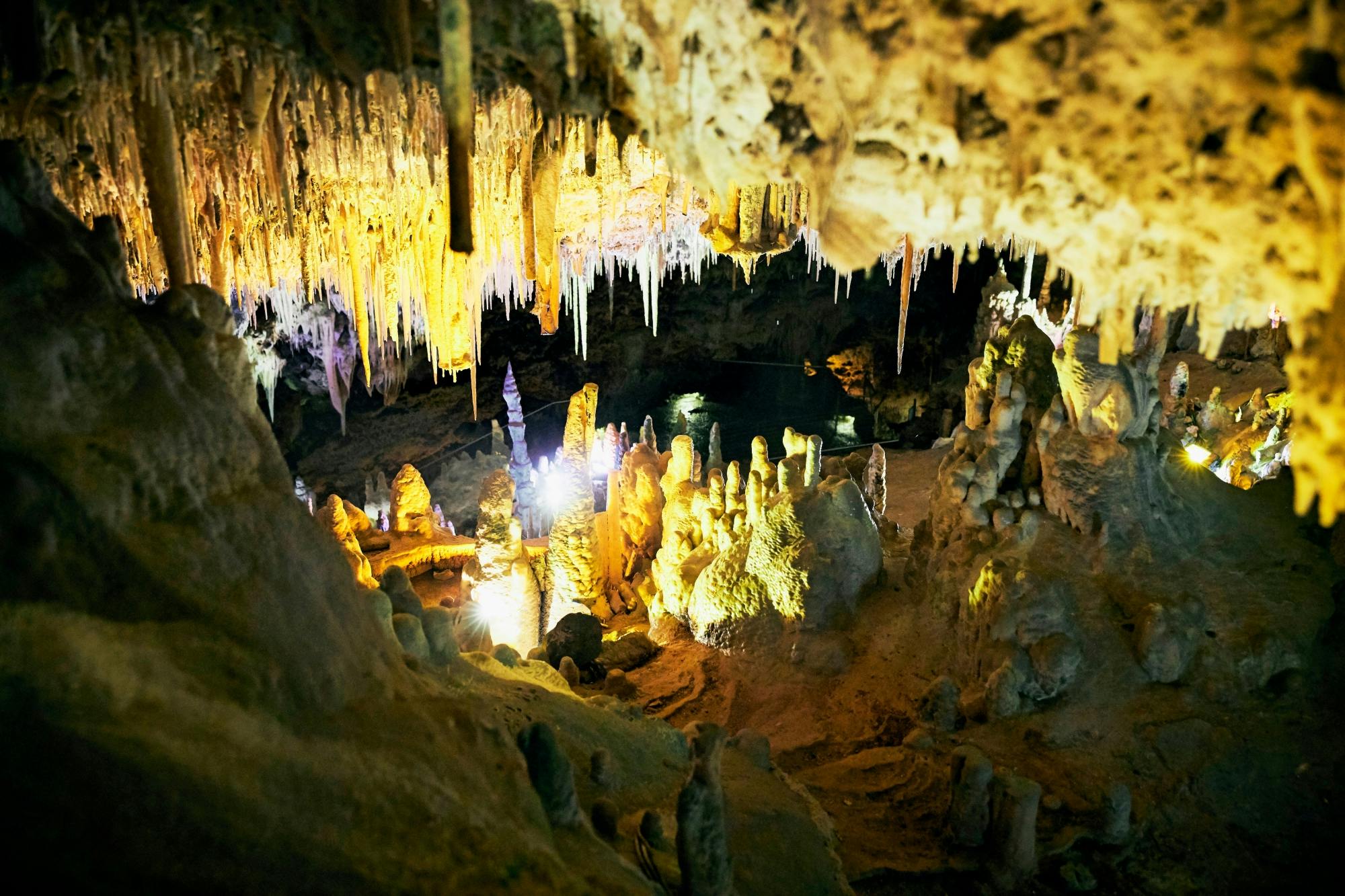Guided tour of Hams Caves with Dinosaurland visit